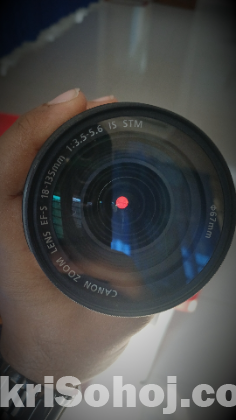 Canon 18-135 stm lense.